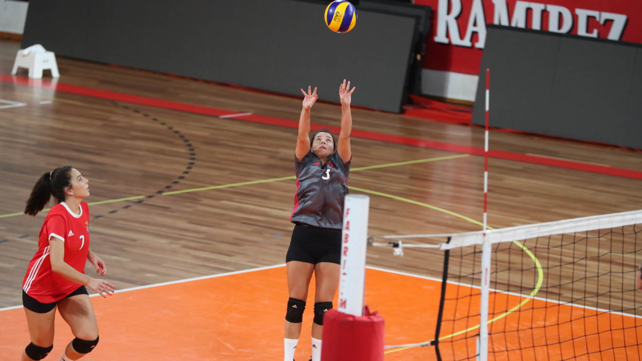 Voleibol feminino