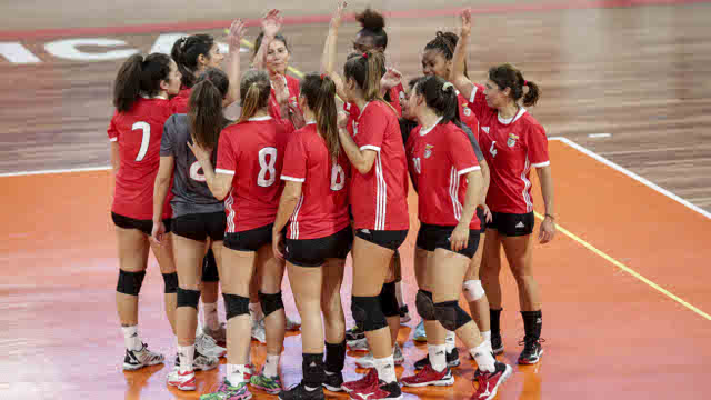 Voleibol feminino