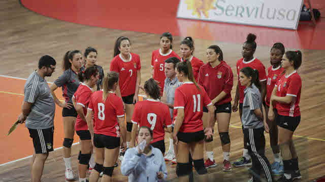 Voleibol feminino