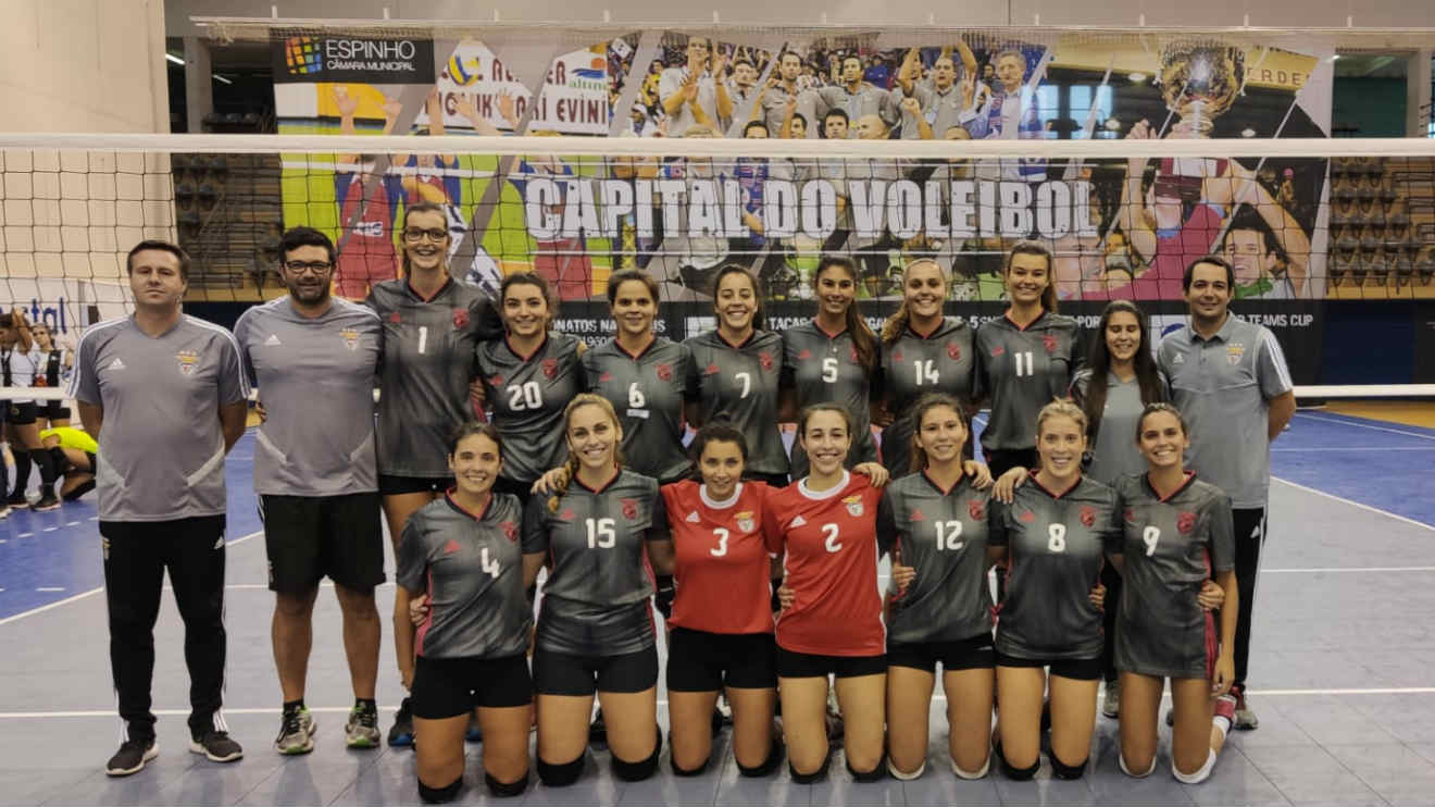 Voleibol equipa feminina