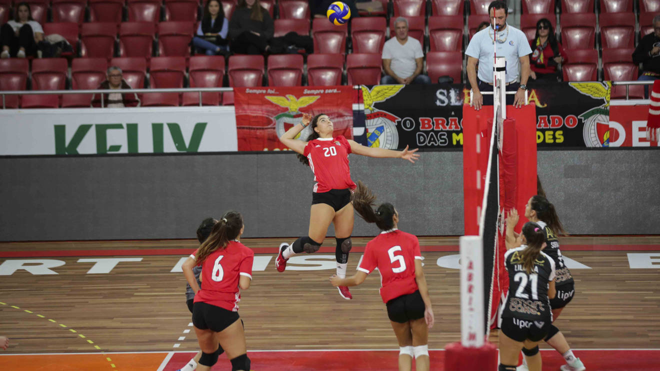 Benfica GDC Gueifães Voleibol Feminino Campeonato Jogo ...