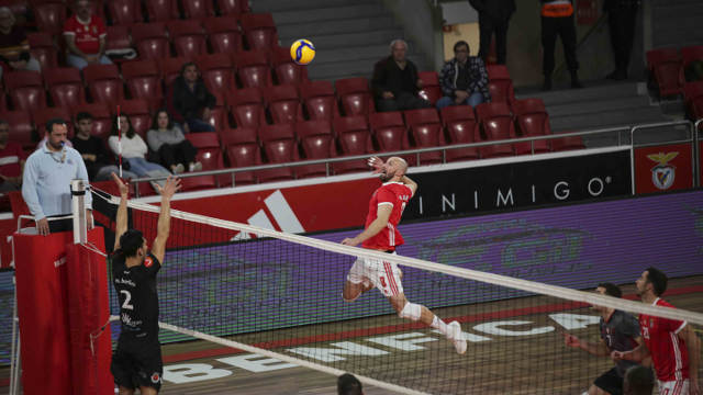Voleibol
