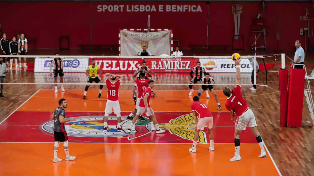 Voleibol