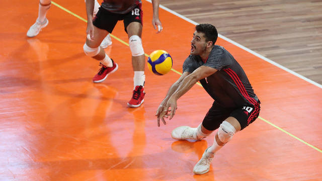 Afonso Guerreiro