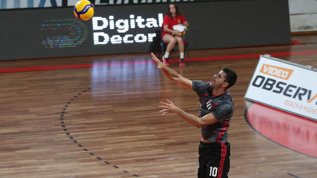 Afonso Guerreiro
