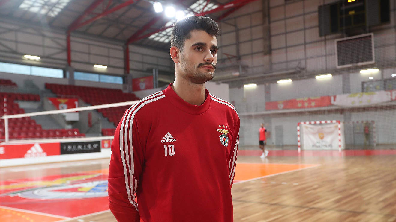 Afonso Guerreiro