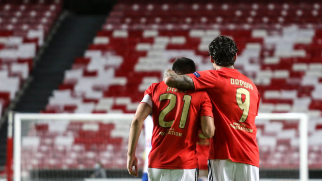 Pizzi e Darwin