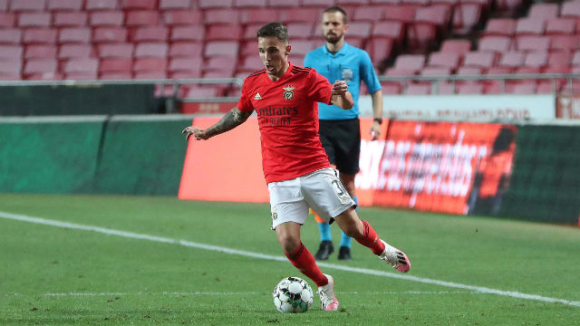 Grimaldo