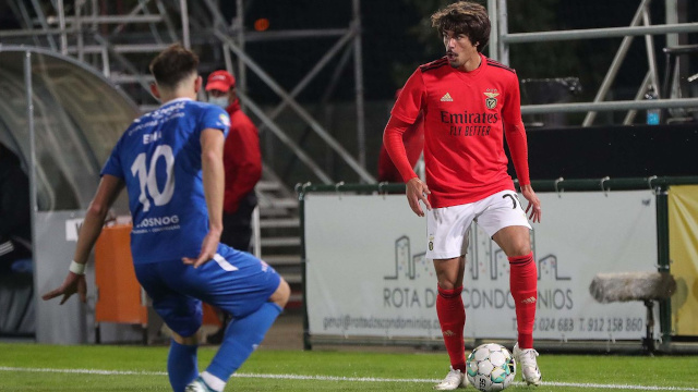 Tiago Araújo Renovação Contrato Futebol Benfica