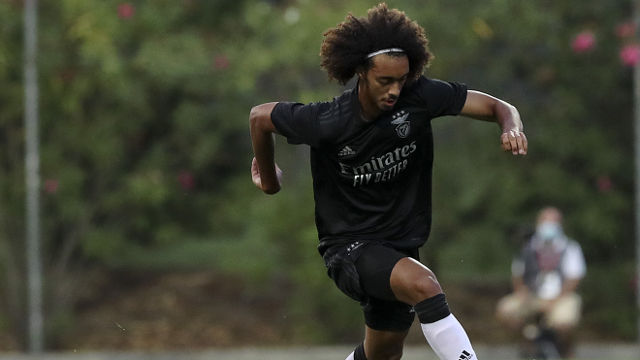 Benfica Seleccion Sub 21 Tomas Tavares Jota Sl Benfica Benfica Seleccion Sub 21 Tomas Tavares Jota Sl Benfica