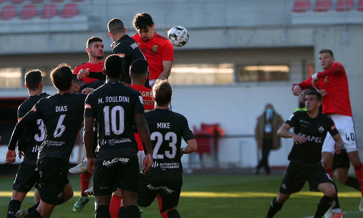 Tomás Araújo Golo