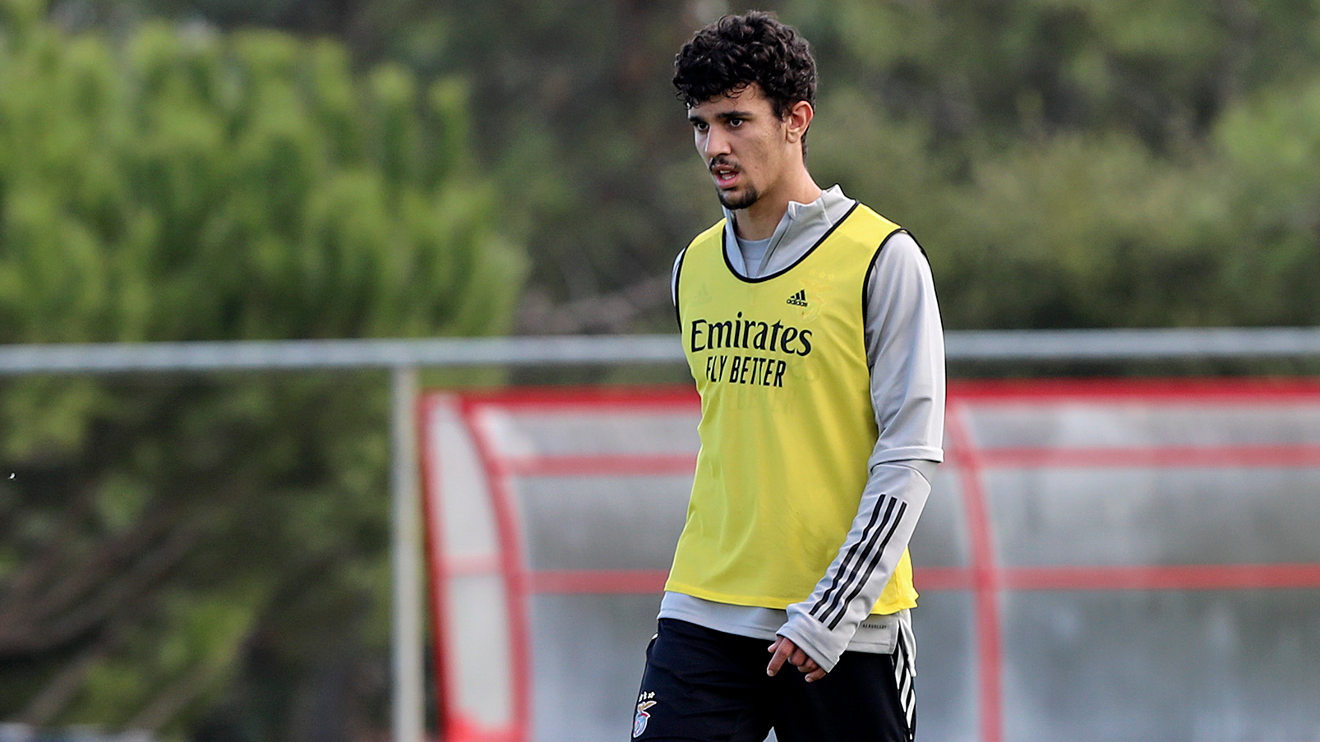 Tomás Araújo