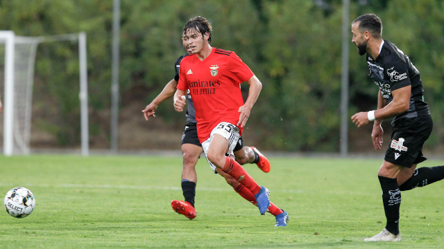 Benfica B Ac Viseu 2.ª Liga Futebol