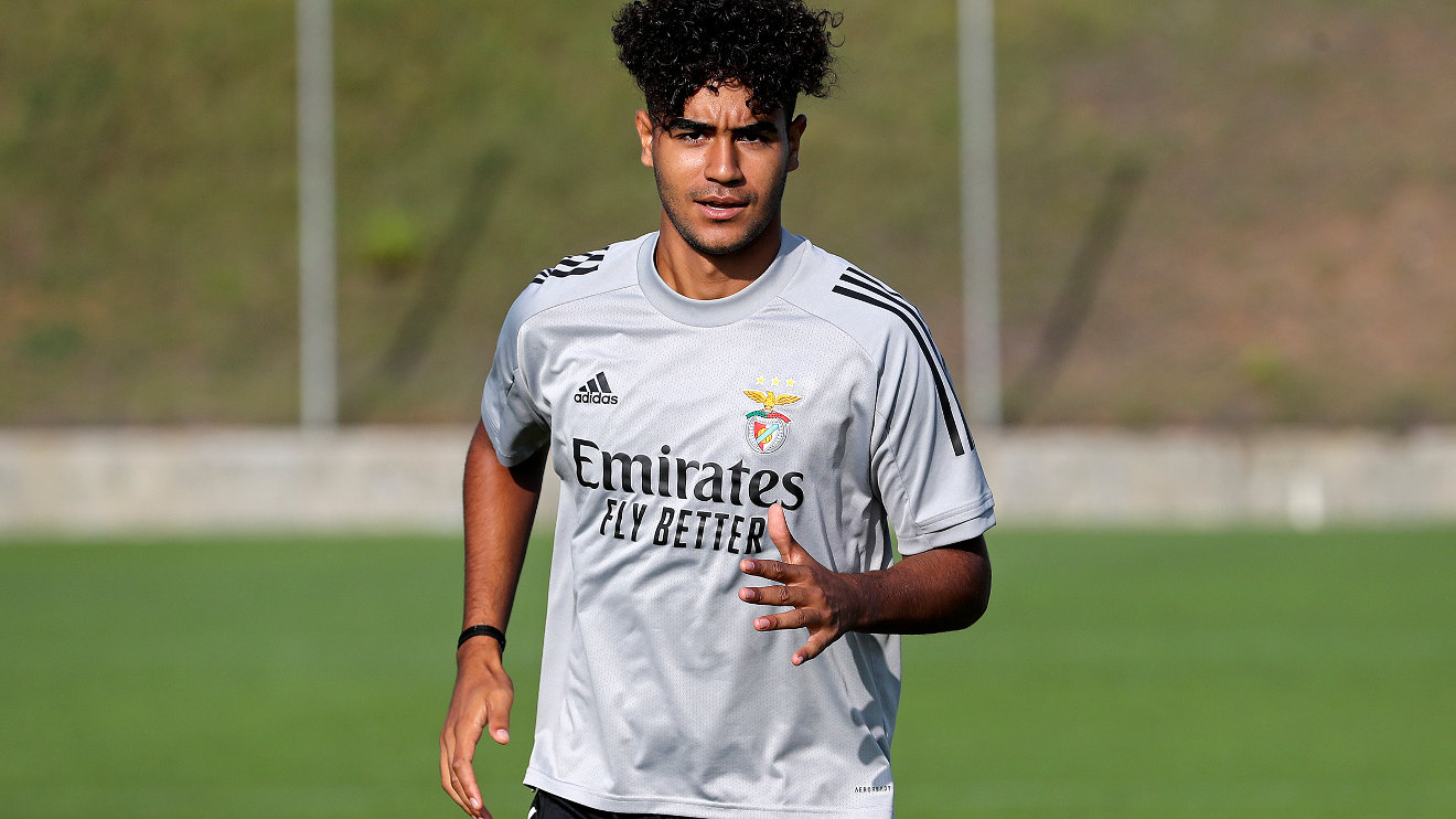 Rafael Brito