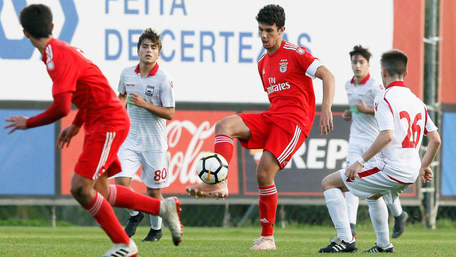 Tomás Araújo Benfica Renovação Contrato