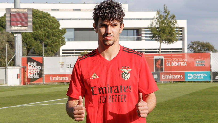 Tomás Araújo Benfica Renovação Contrato