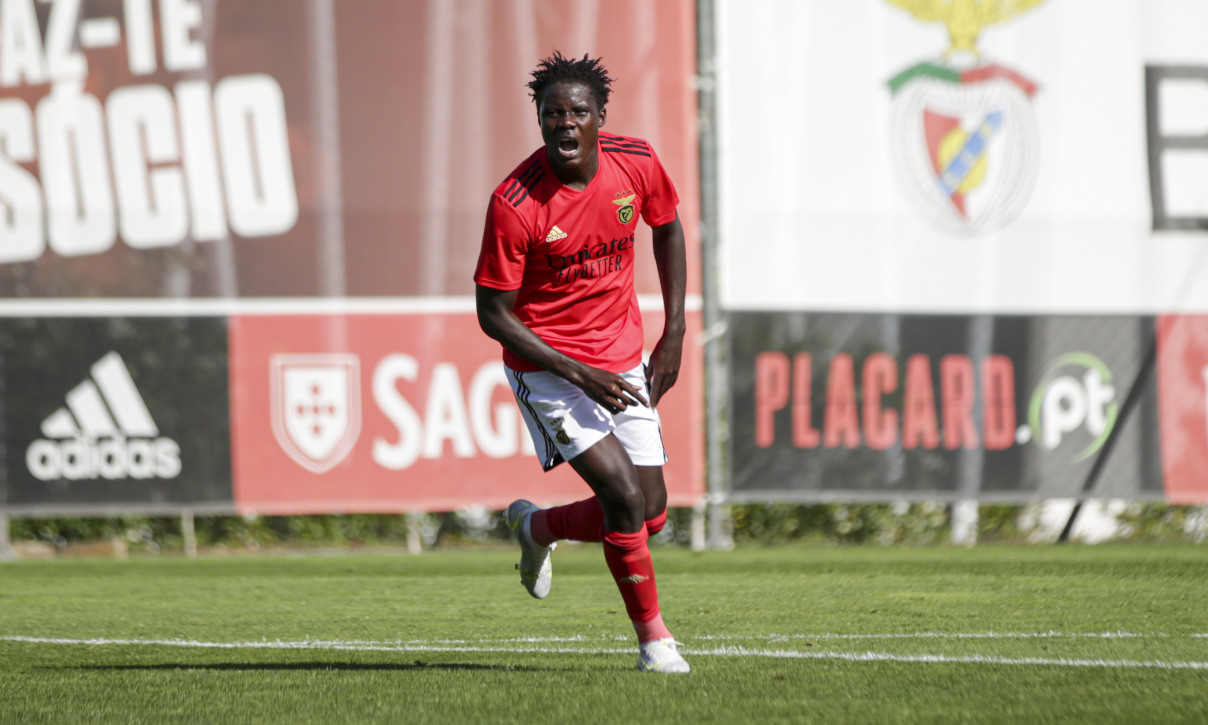 Franculino Dju