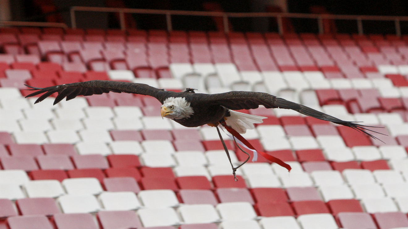 Águia Vitória Benfica Futebol