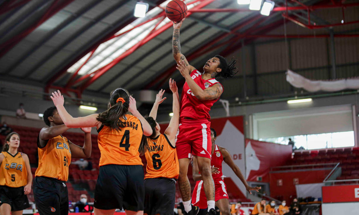 Benfica-CB Queluz Campeonato Nacional Basquetebol feminino