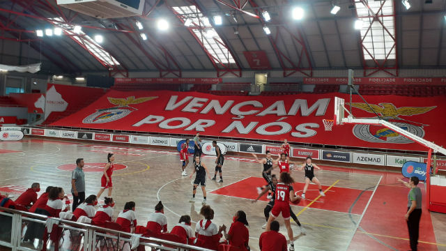 Basquetebol feminino