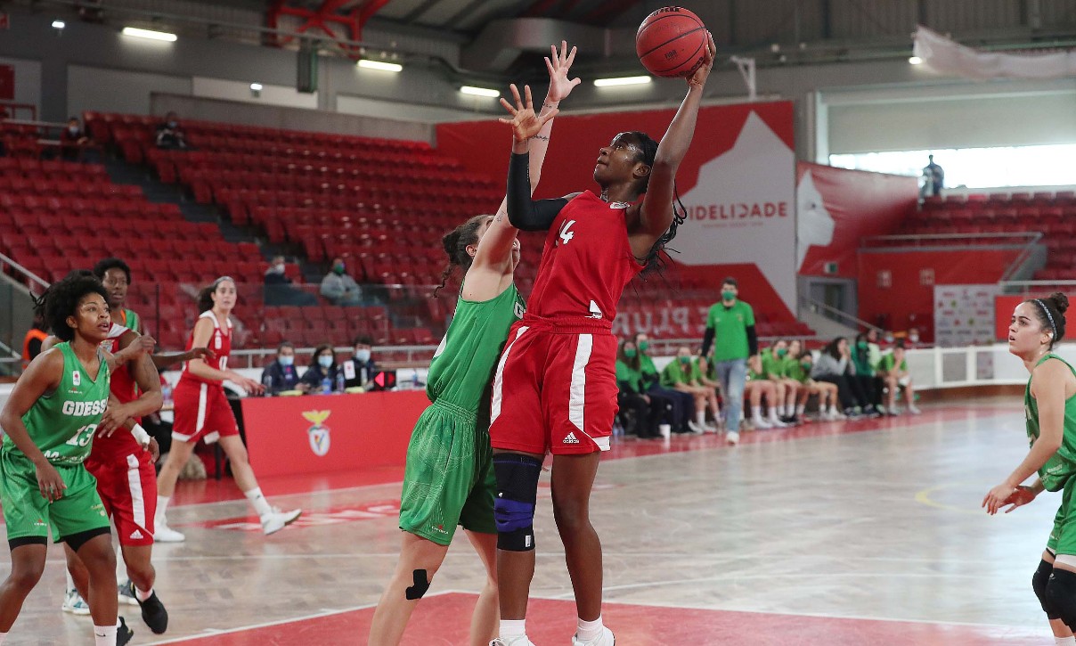 Benfica-GDESSA