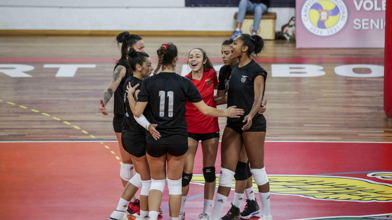 Voleibol Equipa Feminina