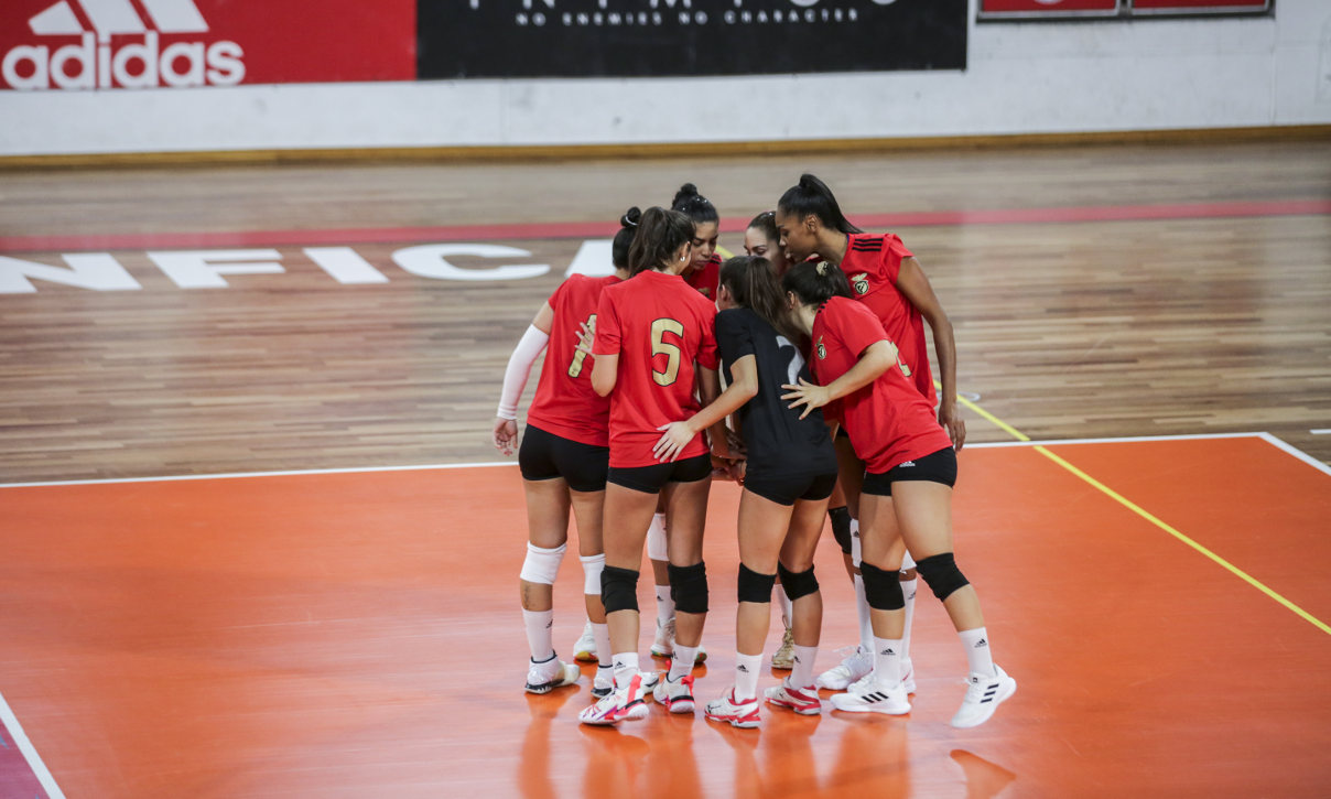 Voleibol feminino