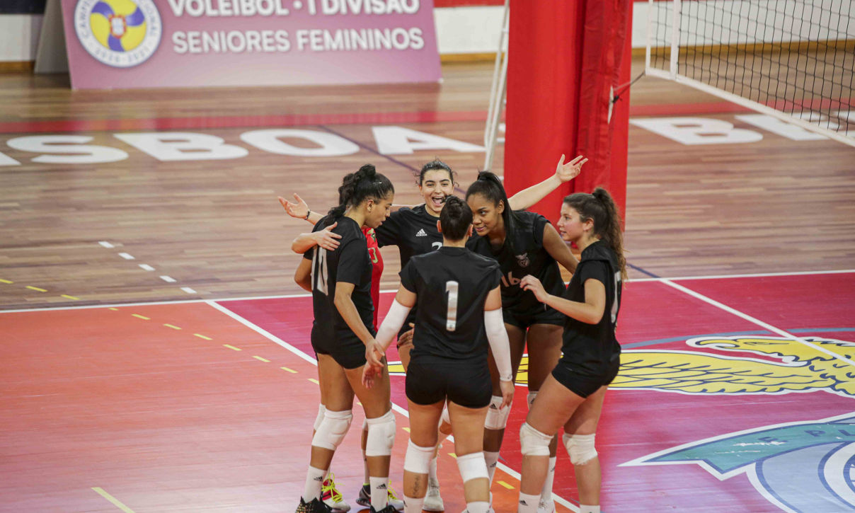 Voleibol feminino