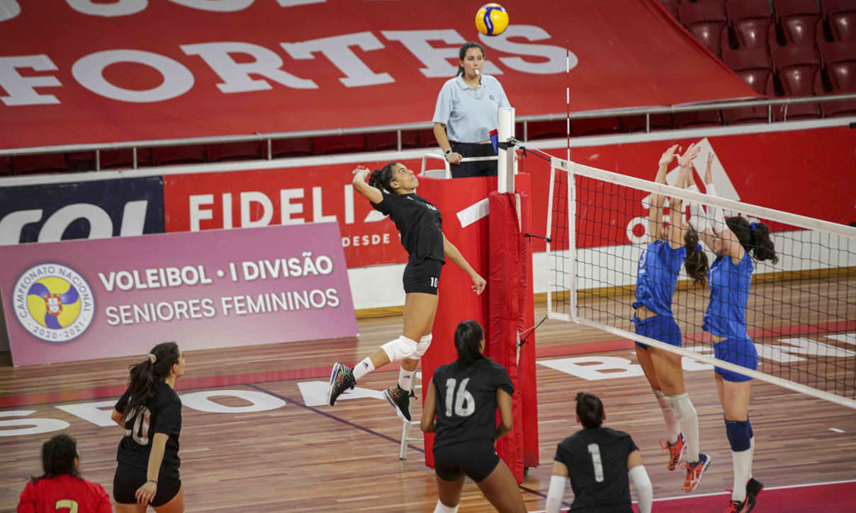 Voleibol feminino