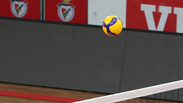 Voleibol