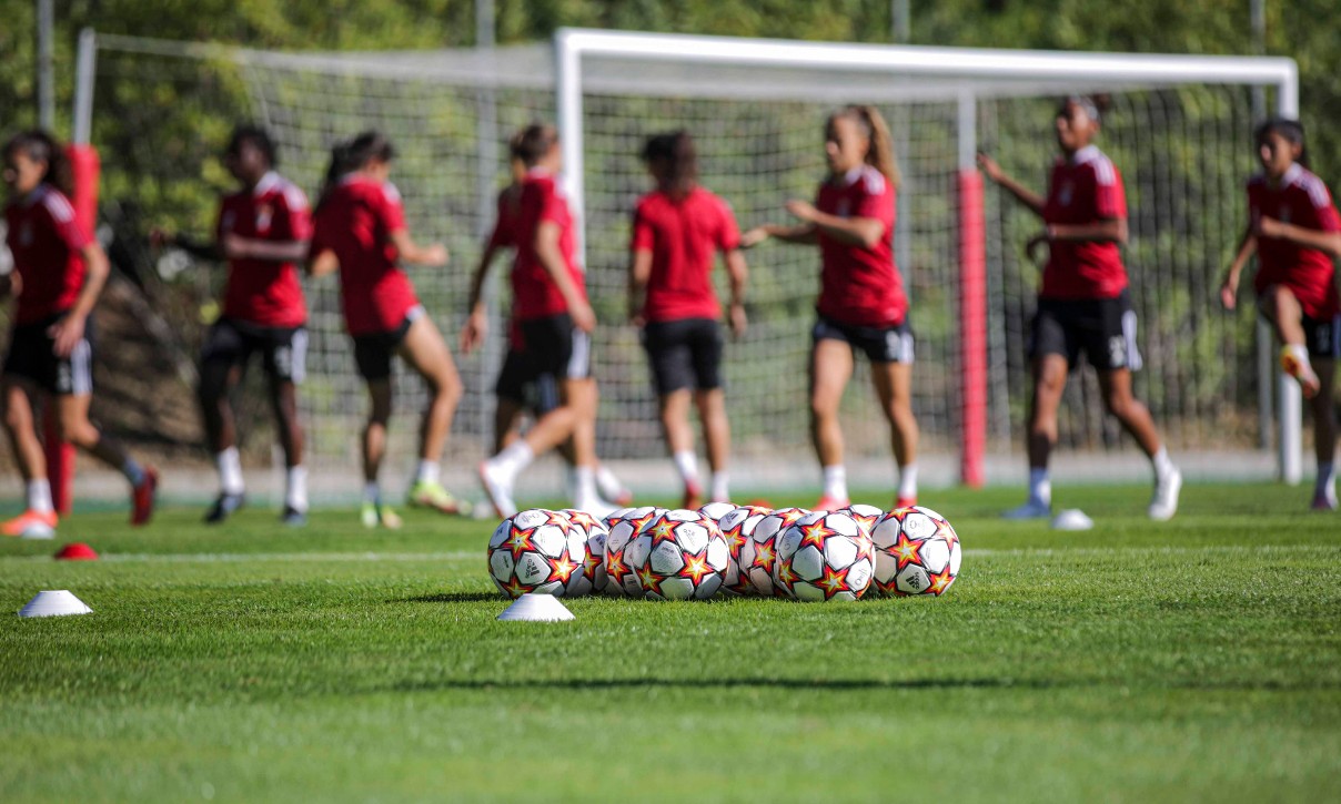 Treino Benfica