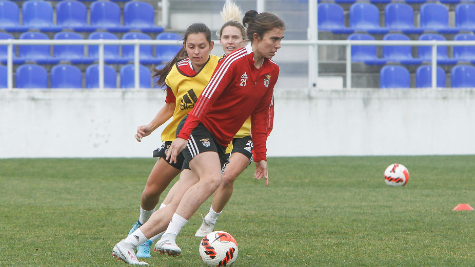 Pauleta
