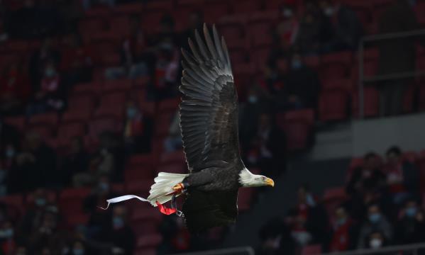 SL Benfica