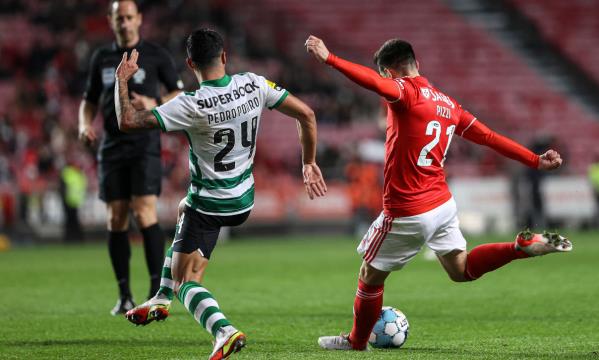Est&#225;dio da Luz