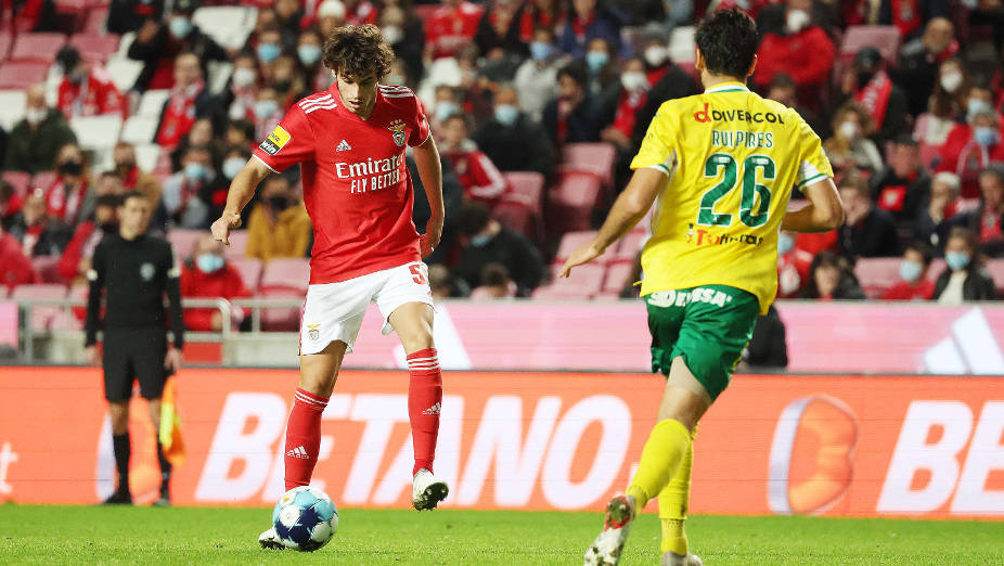 Benfica-P. Ferreira