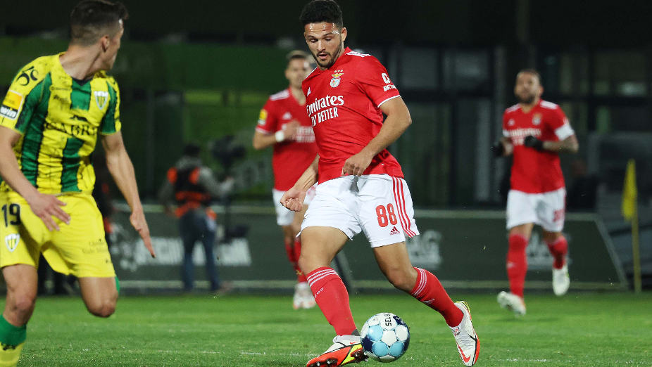 Tondela-Benfica 21.ª jornada Liga Bwin