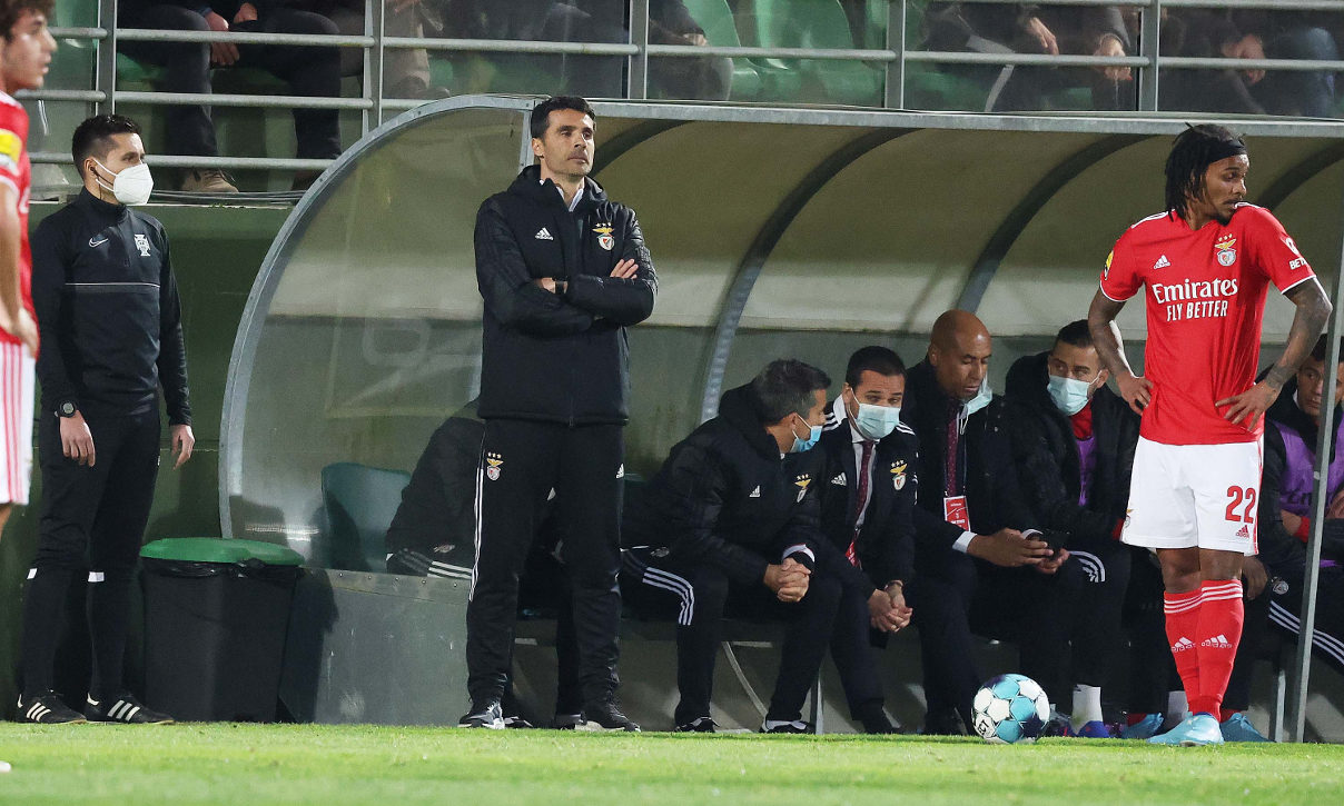 Tondela-Benfica 21.ª jornada Liga Bwin