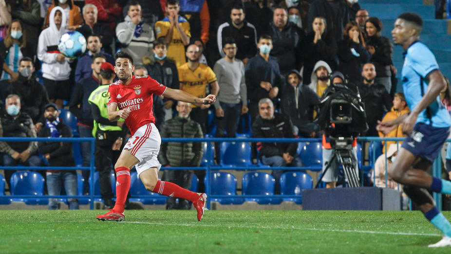 Pizzi
