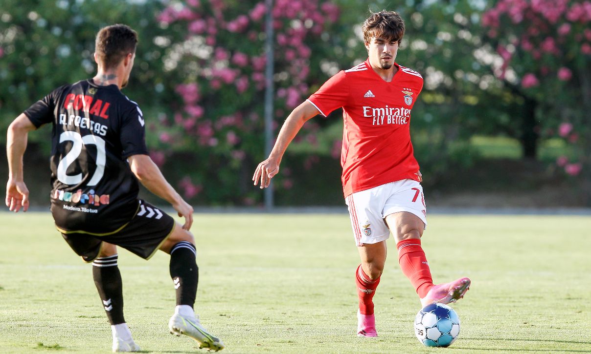 Tiago Araújo