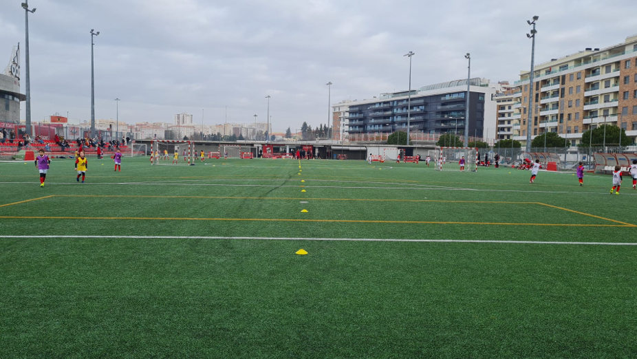 Liga Benfica Estádio da Luz