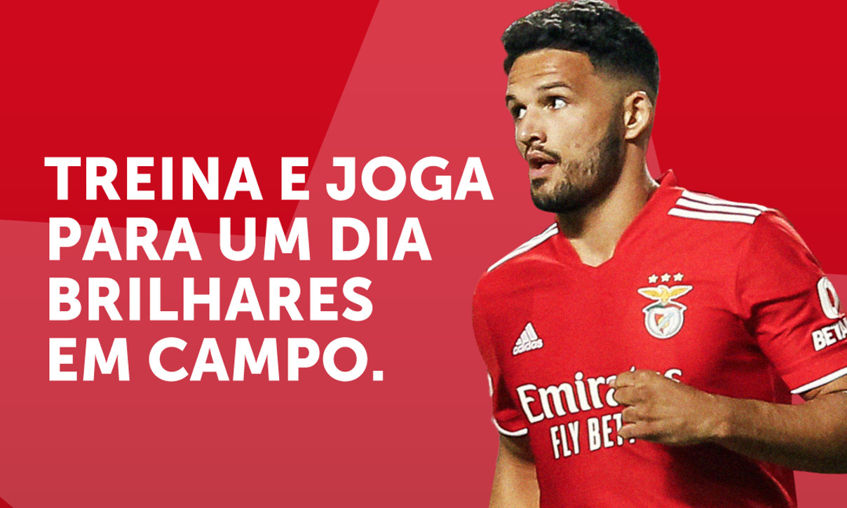 Treinos de captação