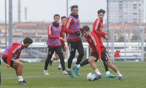 Nuno F&#233;lix e Cher Ndour s&#227;o apenas dois exemplos da forma como os talentos s&#227;o potenciados no Benfica