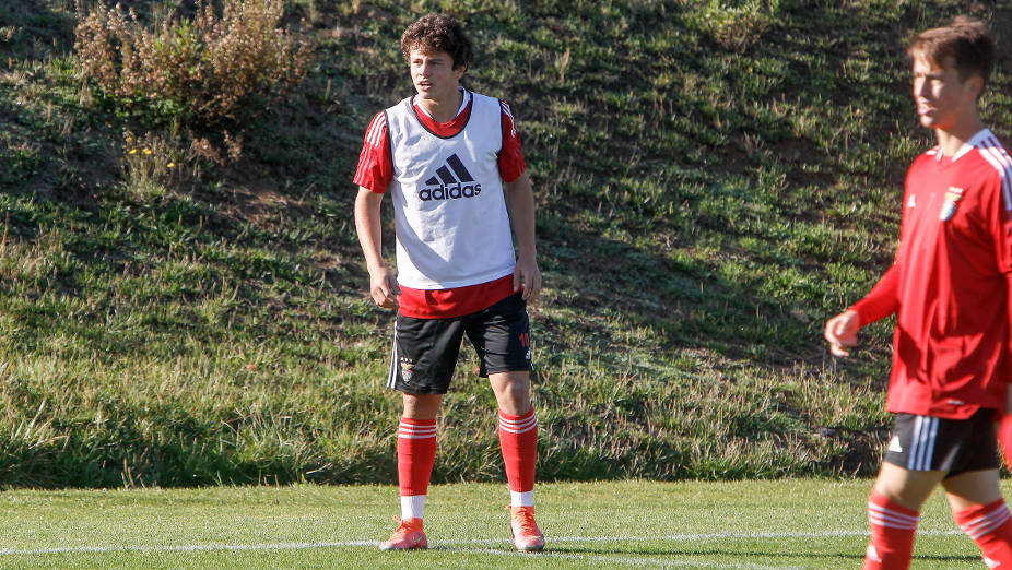 Luís Castro