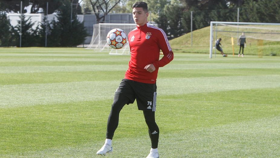 Martim Neto