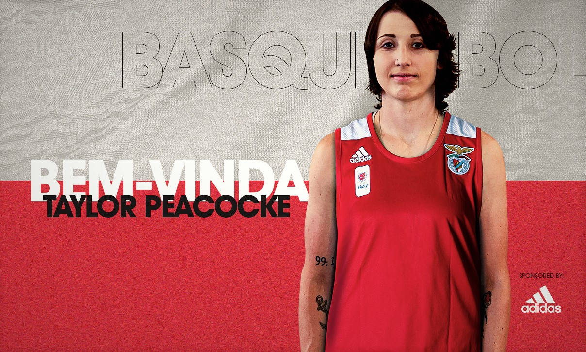 Taylor Peacocke