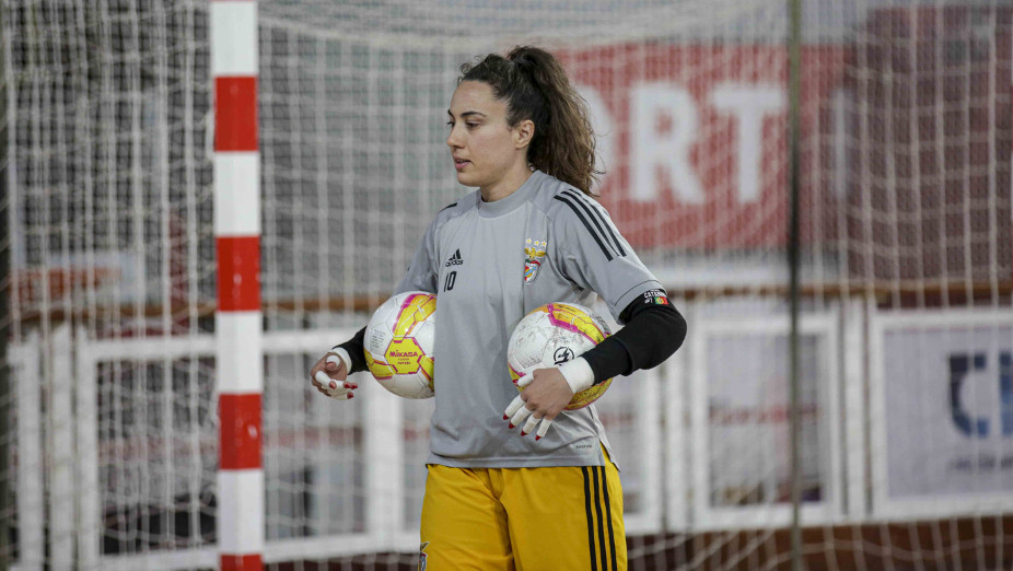 Treino