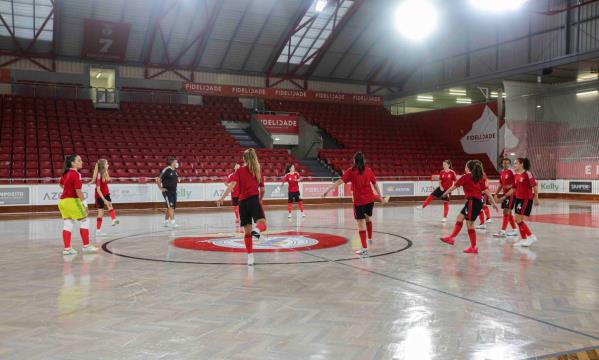 Momento do treino
