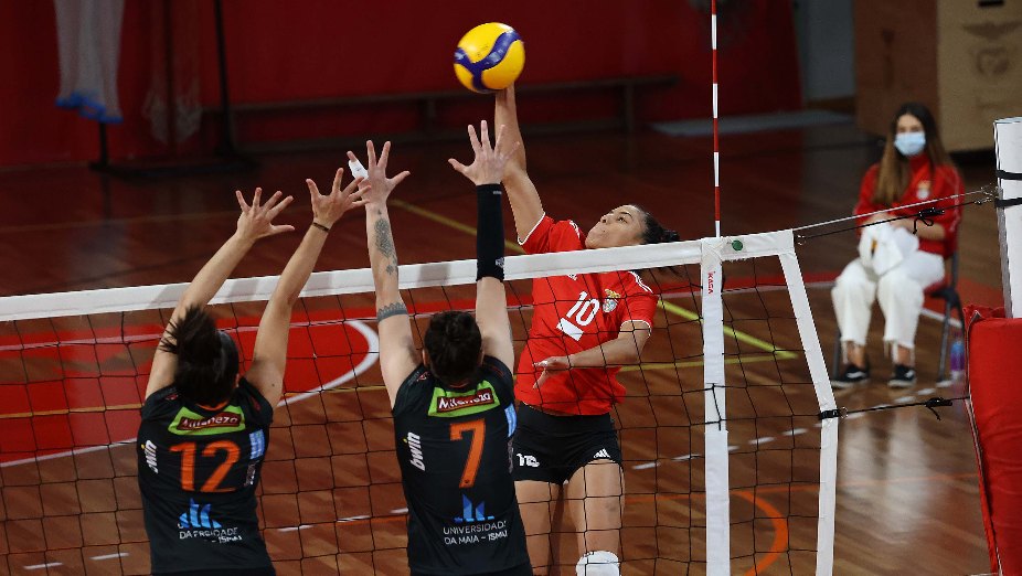 Voleibol