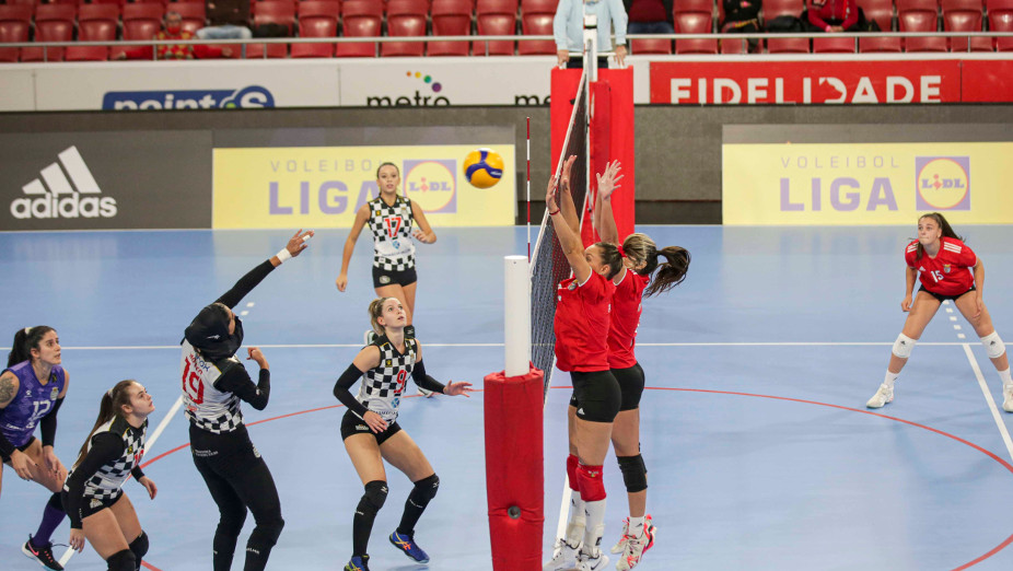 Benfica-Boavista voleibol feminino