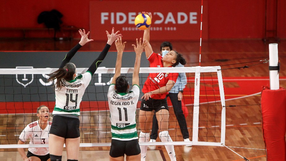 Voleibol Feminino